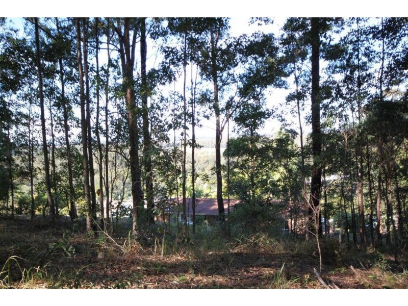 Lot 1 Rollands Plains Road, Telegraph Point NSW 2441