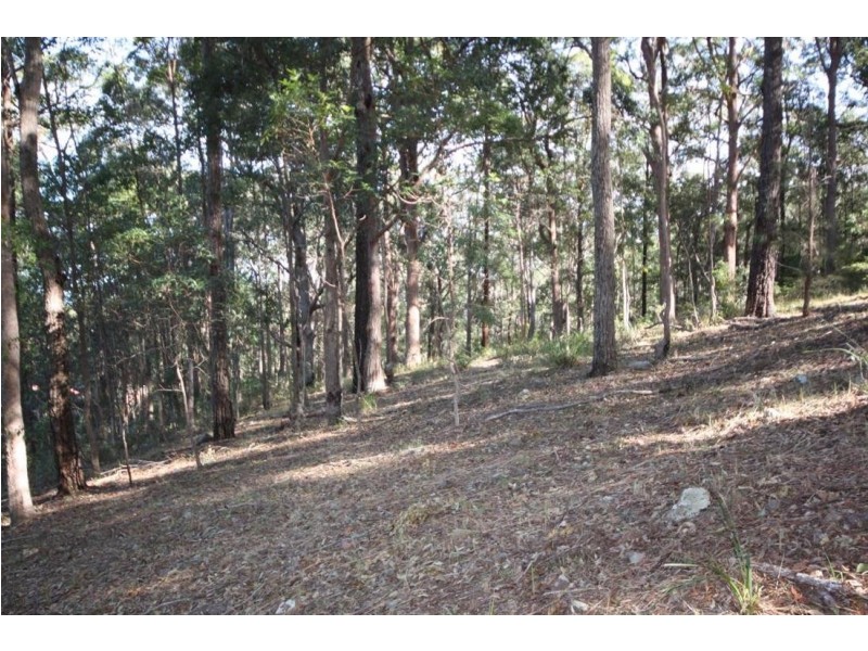 Lot 1 Rollands Plains Road, Telegraph Point NSW 2441