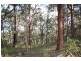Lot 1 Rollands Plains Road, Telegraph Point NSW 2441
