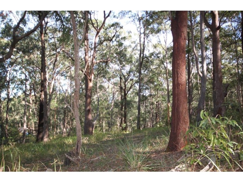 Lot 1 Rollands Plains Road, Telegraph Point NSW 2441
