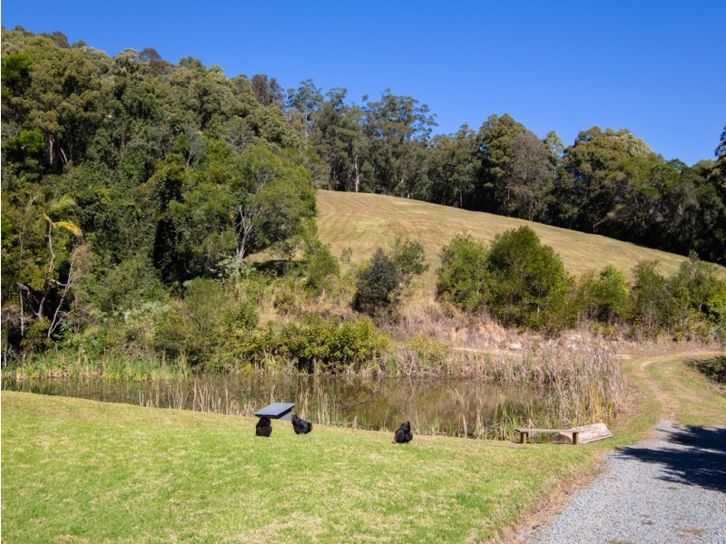 Lorne NSW 2439