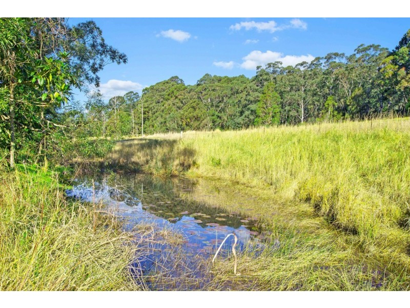 594 Stewarts River Road, Lorne NSW 2439