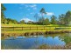 14 Francis Redman Place, Hannam Vale NSW 2443