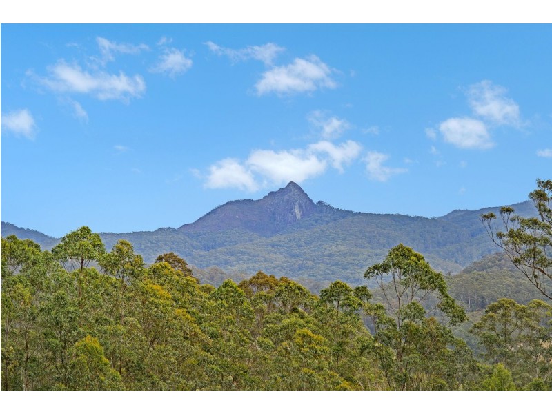 44 Andersons Road, Hannam Vale NSW 2443