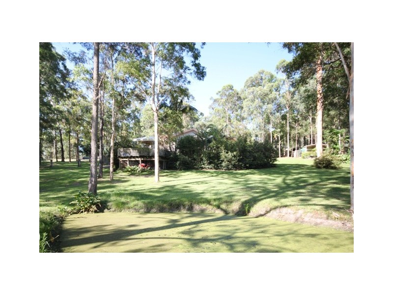 King Creek NSW 2446