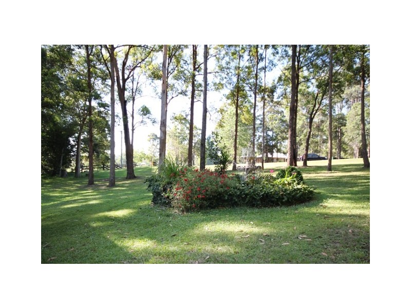 King Creek NSW 2446