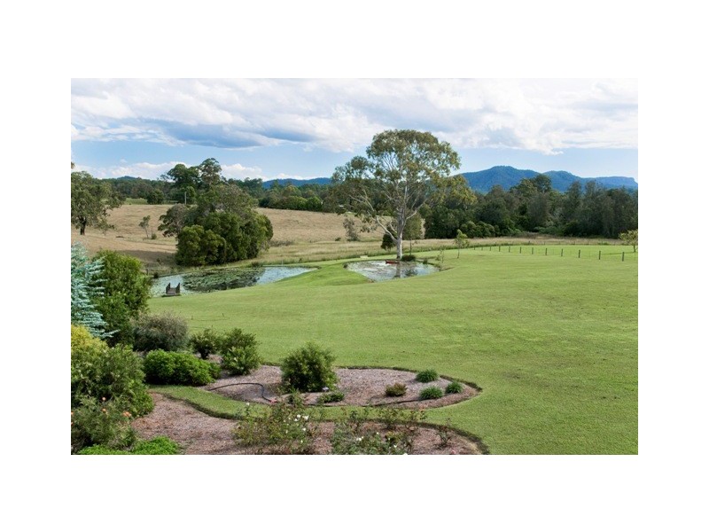 King Creek NSW 2446