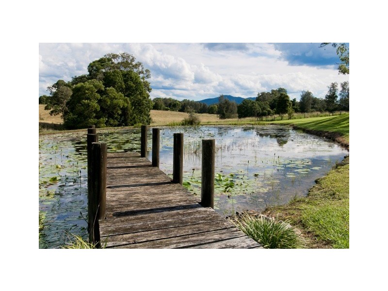 King Creek NSW 2446