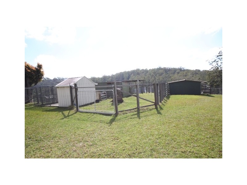 Kendall NSW 2439