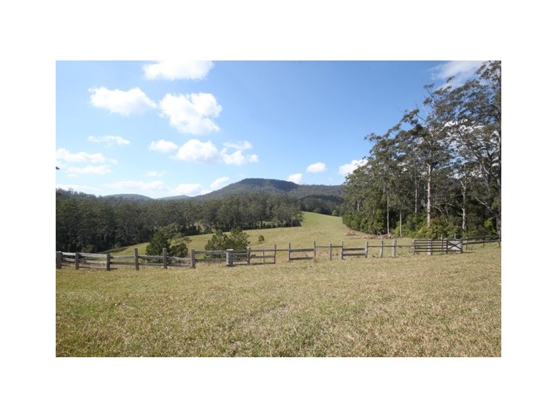 Kendall NSW 2439