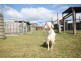 Kendall NSW 2439