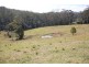 Kendall NSW 2439
