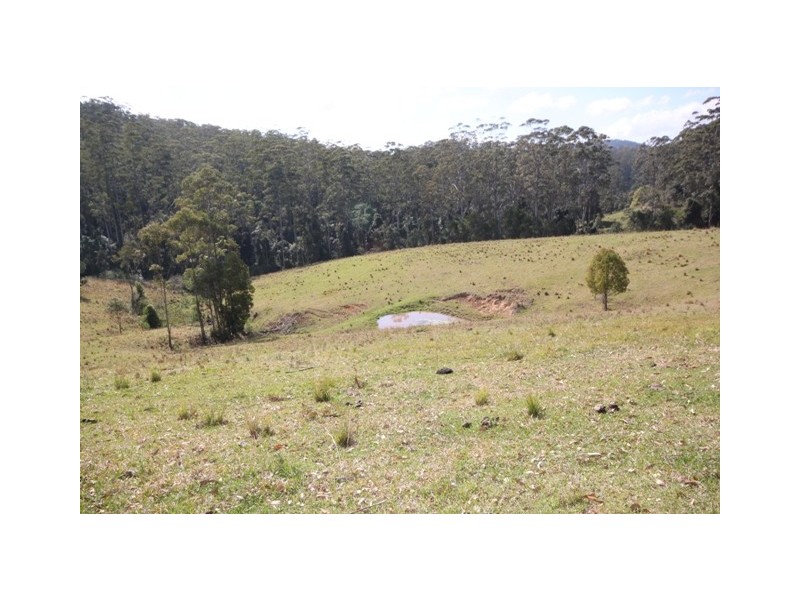 Kendall NSW 2439