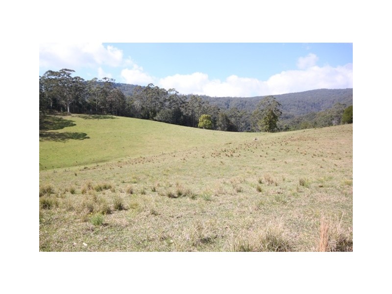 Kendall NSW 2439