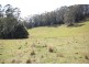 Kendall NSW 2439