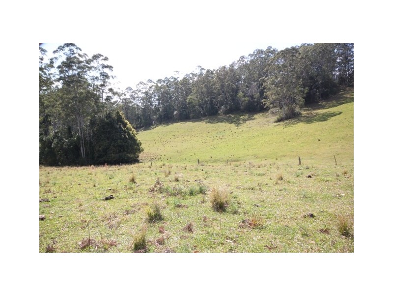 Kendall NSW 2439