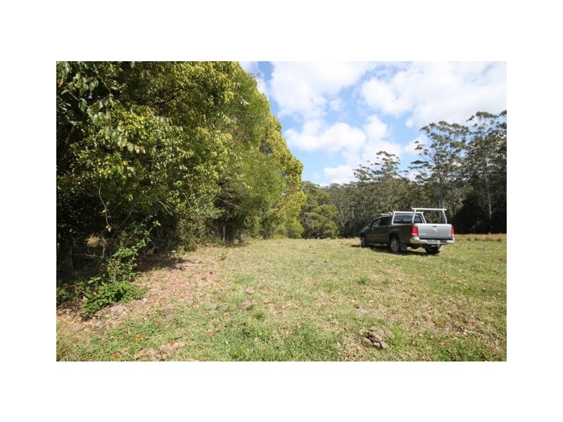 Kendall NSW 2439