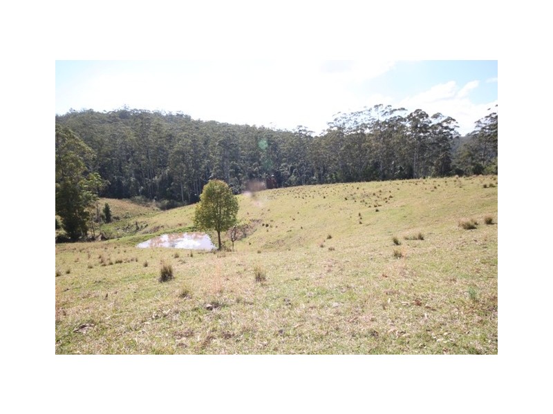 Kendall NSW 2439