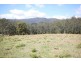 Kendall NSW 2439