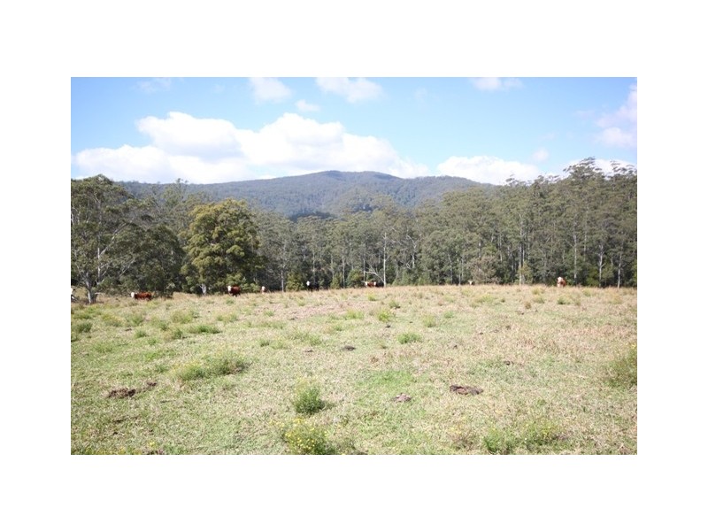 Kendall NSW 2439