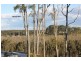 65/Lot 1 Yaluma Drive, Port Macquarie NSW 2444