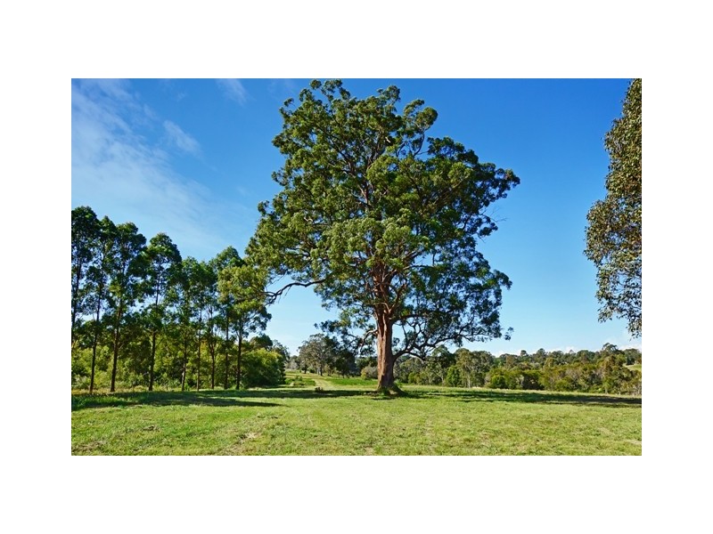 Lot 202 Beechwood Road, Beechwood NSW 2446