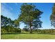 Lot 203 Beechwood Road, Beechwood NSW 2446