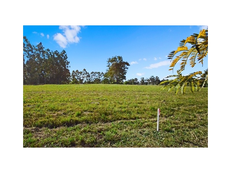 Lot 208 Beechwood Road, Beechwood NSW 2446