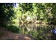 14 Misty Way, Logans Crossing NSW 2439