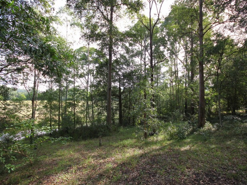 14 Misty Way, Logans Crossing NSW 2439