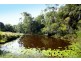 14 Misty Way, Logans Crossing NSW 2439