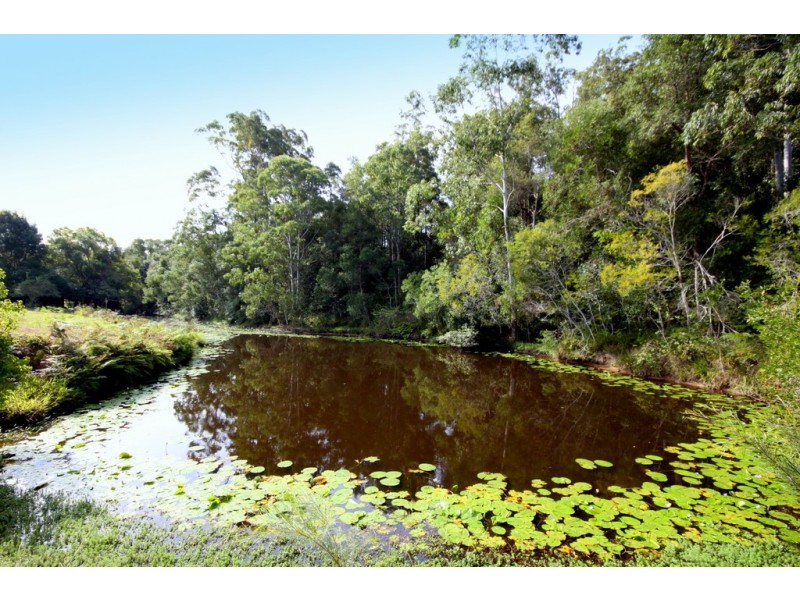 14 Misty Way, Logans Crossing NSW 2439