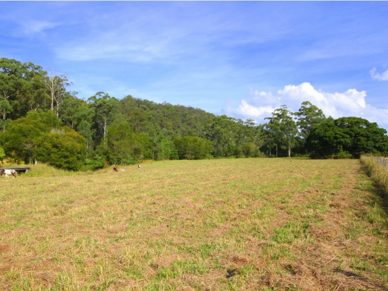 14 Misty Way, Logans Crossing NSW 2439