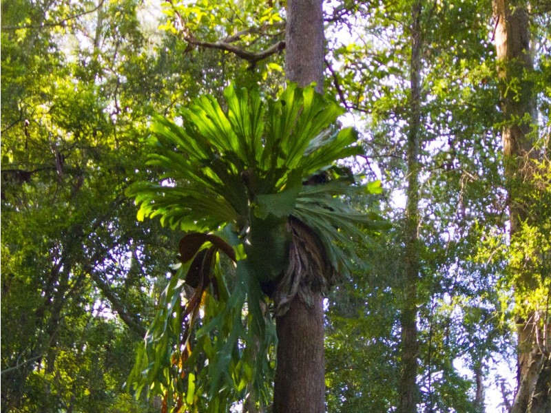 91 Haydons Wharf Road, Cooperabung NSW 2441