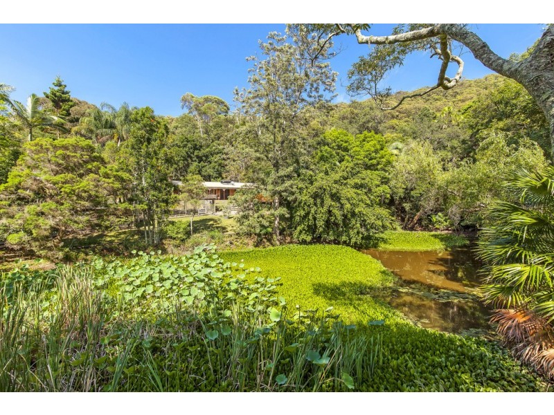 447 Tumbi Road, Wamberal NSW 2260