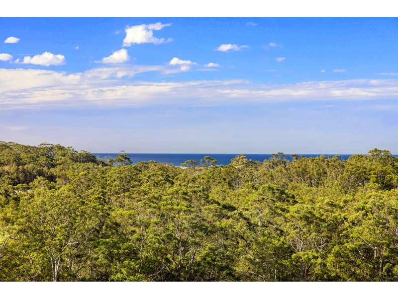 16 Captain Arthur Phillip Drive, Terrigal NSW 2260