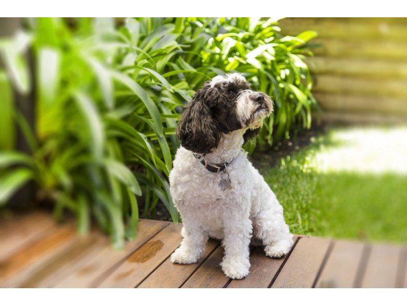 3/10 Barrington Road, Terrigal NSW 2260