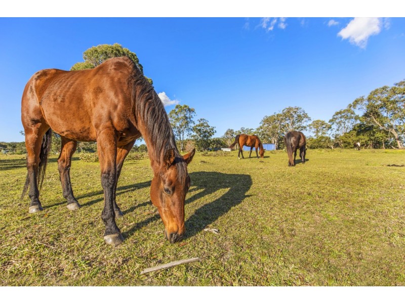 92 Mountain Road, Halloran NSW 2259