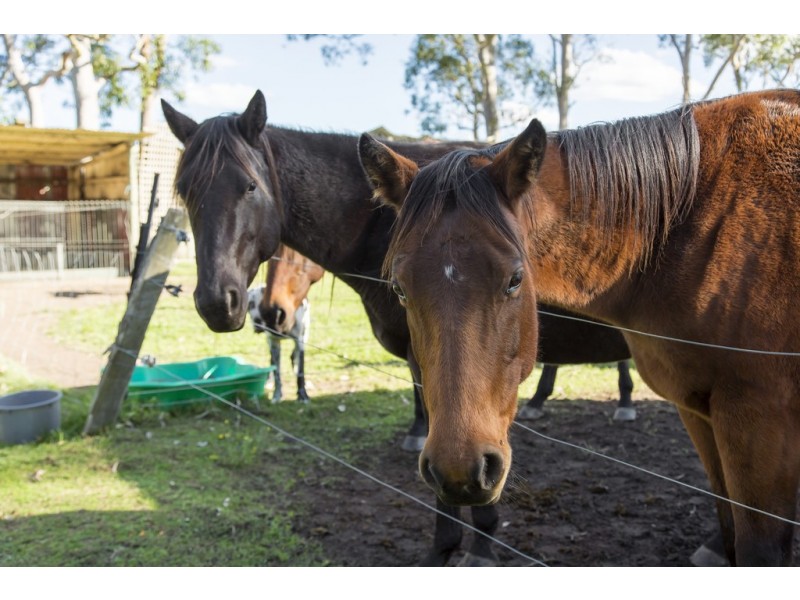 92 Mountain Road, Halloran NSW 2259