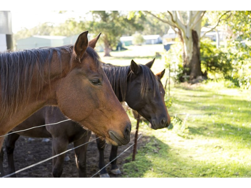 92 Mountain Road, Halloran NSW 2259