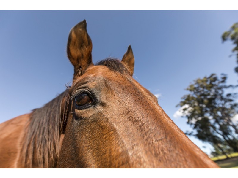 92 Mountain Road, Halloran NSW 2259