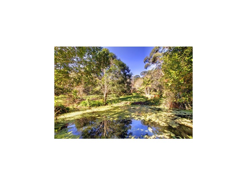 243 Oak Road, Matcham NSW 2250