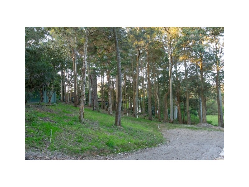 Springfield NSW 2250