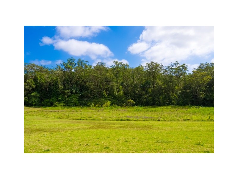 Wamberal NSW 2260