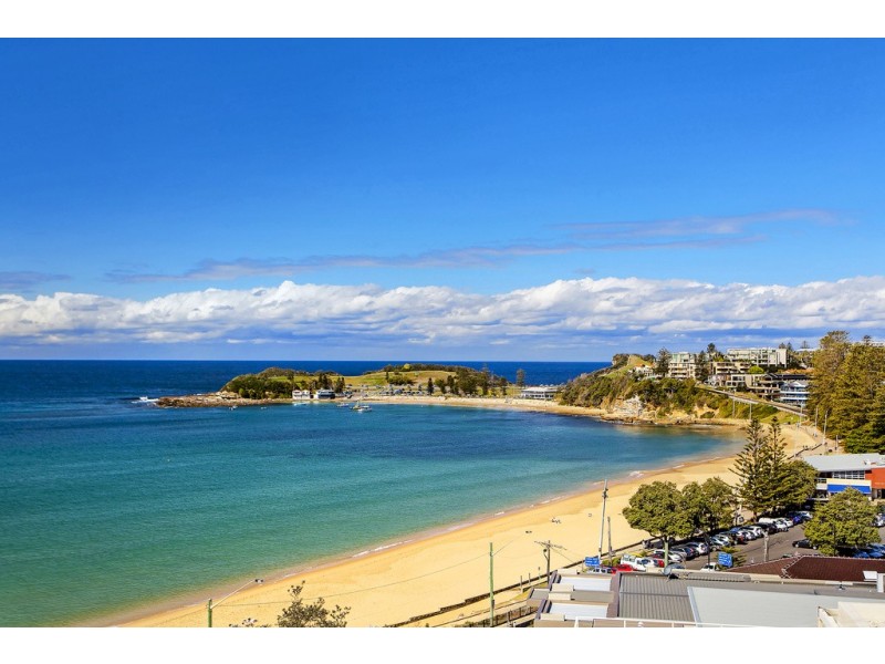 Terrigal NSW 2260