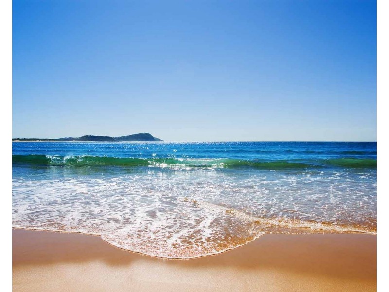 15 Ena Street, Terrigal NSW 2260