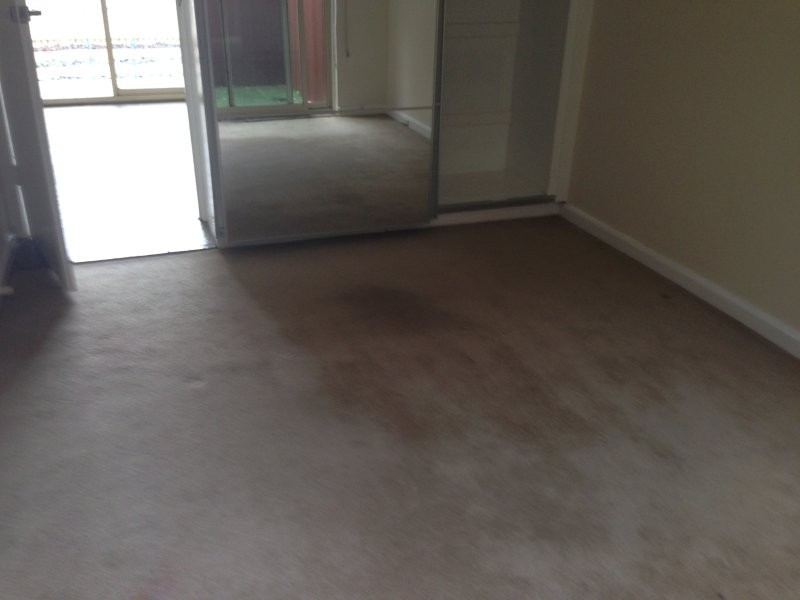 1/9 Foam Street, Elwood VIC 3184