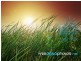 1651 Citreus Circuit, Brookfield VIC 3338