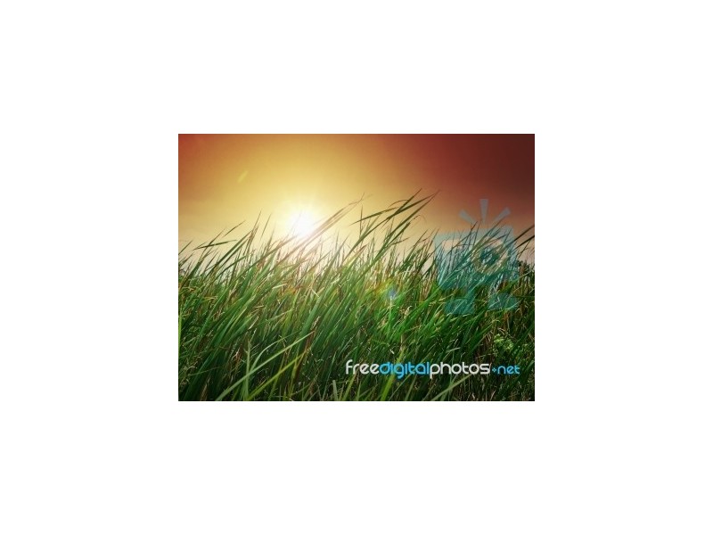 1651 Citreus Circuit, Brookfield VIC 3338