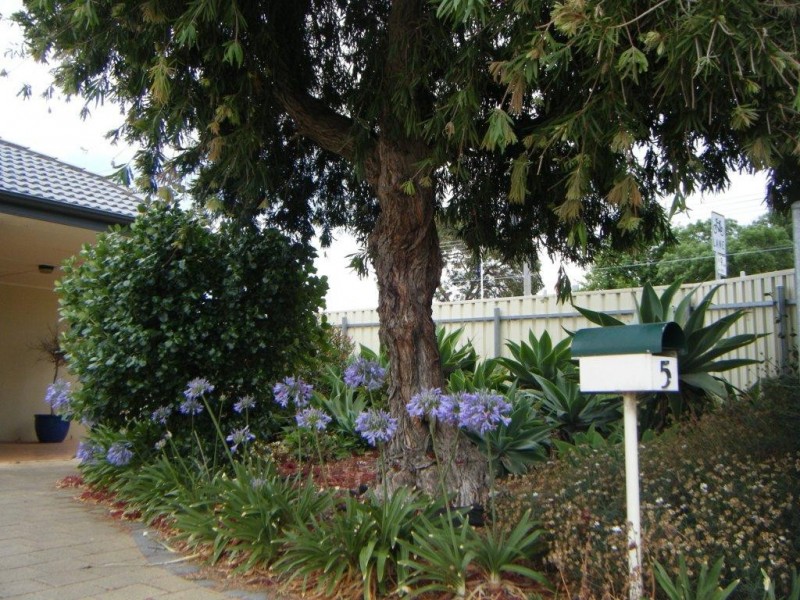 5 Yerong Street, Seacombe Gardens SA 5047